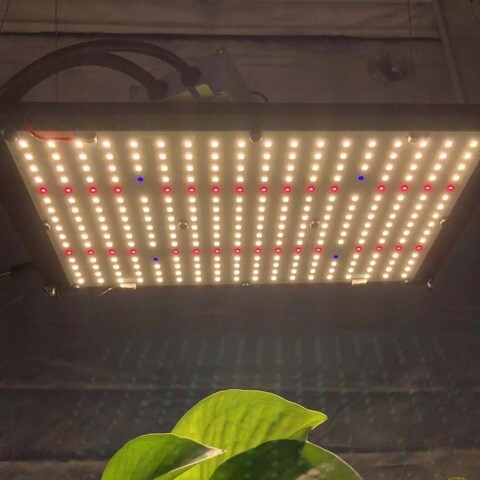 Квантум Борд 120W Samsung LM301H+660nm+UV IR